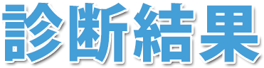 診断結果