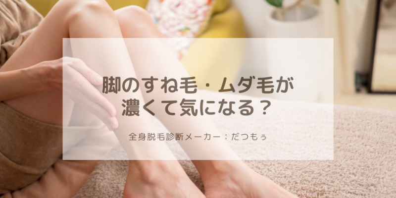 脚のすね毛が濃い人必見 毛が濃くなる理由と対処法まとめ